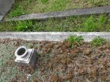 image of grave number 683614
